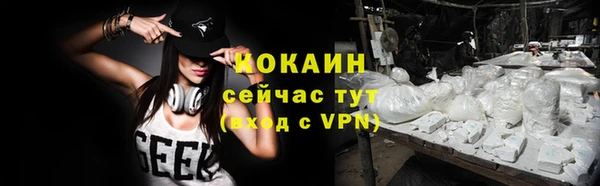 винт Верея