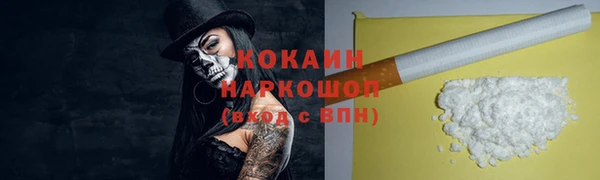 винт Верея