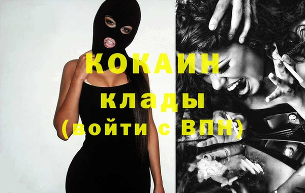 винт Верея