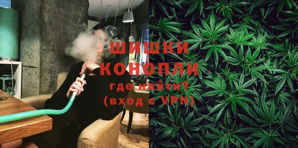 винт Верея